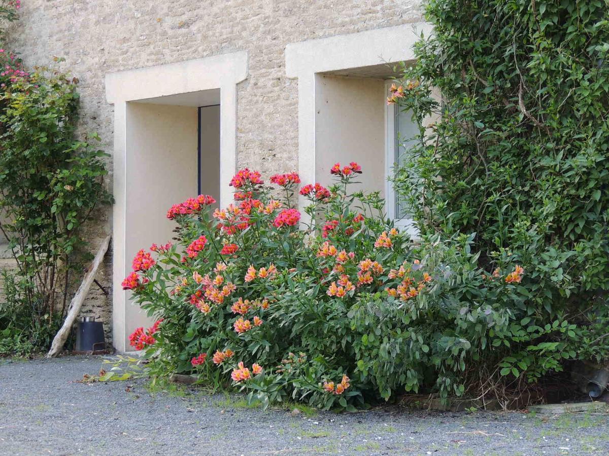 Chambres D'Hotes Les Pieris Grandcamp-Maisy Dış mekan fotoğraf